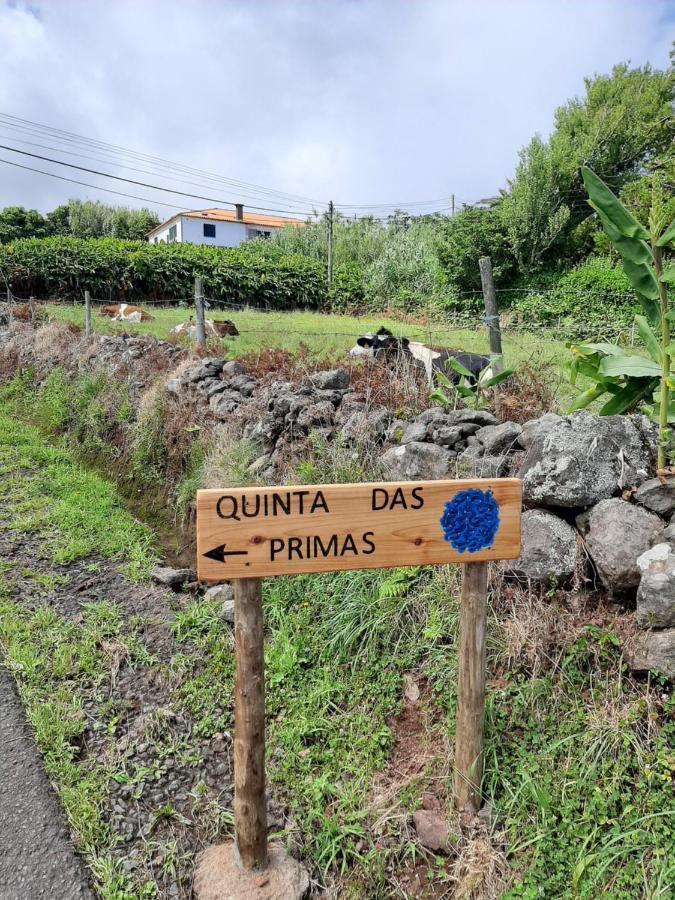 Quinta Das Primas Lomba  Екстер'єр фото